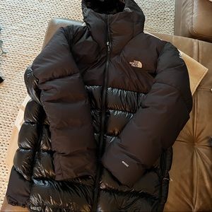 The North Face Down Jacket Mens XL Summit Series 800 Fill Down Puffer Coat